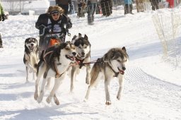Lenk 2012 SM